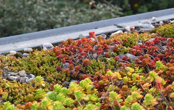 the cost of Quarterbank green roof installation