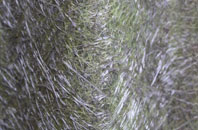 Quarterbank fibreglass roof work