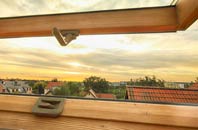 rated Quarterbank roof window companies